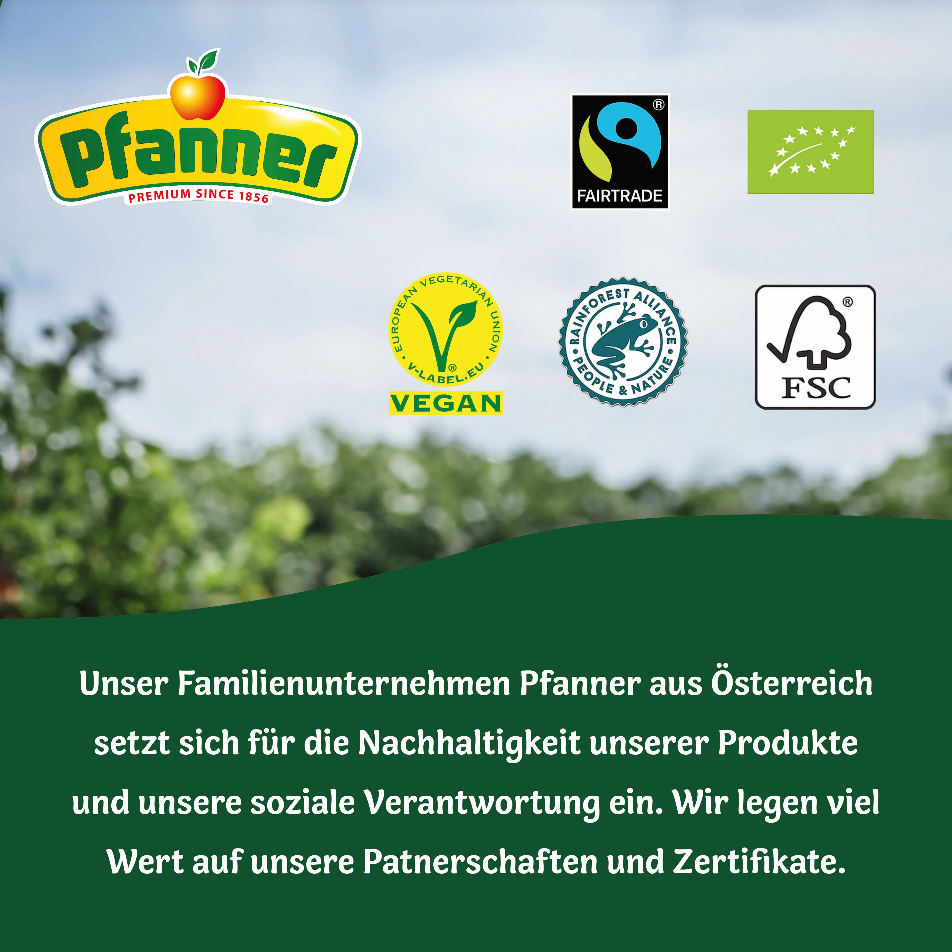 Pfanner Eistee Wildkirsche Zero Sirup 1:140 (57ml) - Image 6